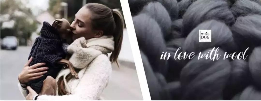 欧洲宠物药企有哪些公司,国外宠物行业创业新方法