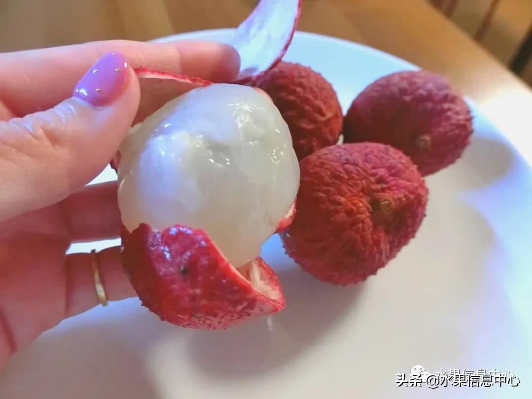 日本农业发达到什么程度?荔枝、香蕉、菠萝竟然用温室来种