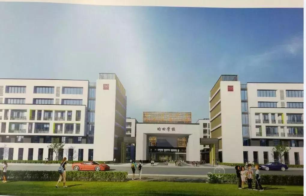 深圳怎么查询学区相对应的学校,深圳小学初中学区查询