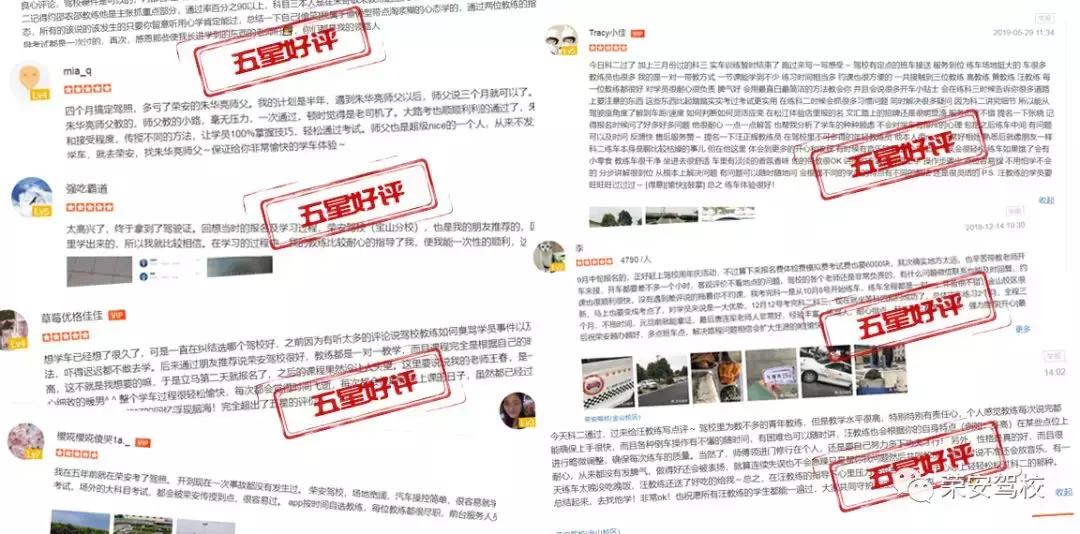 这里有一片森林,这里有一片净土