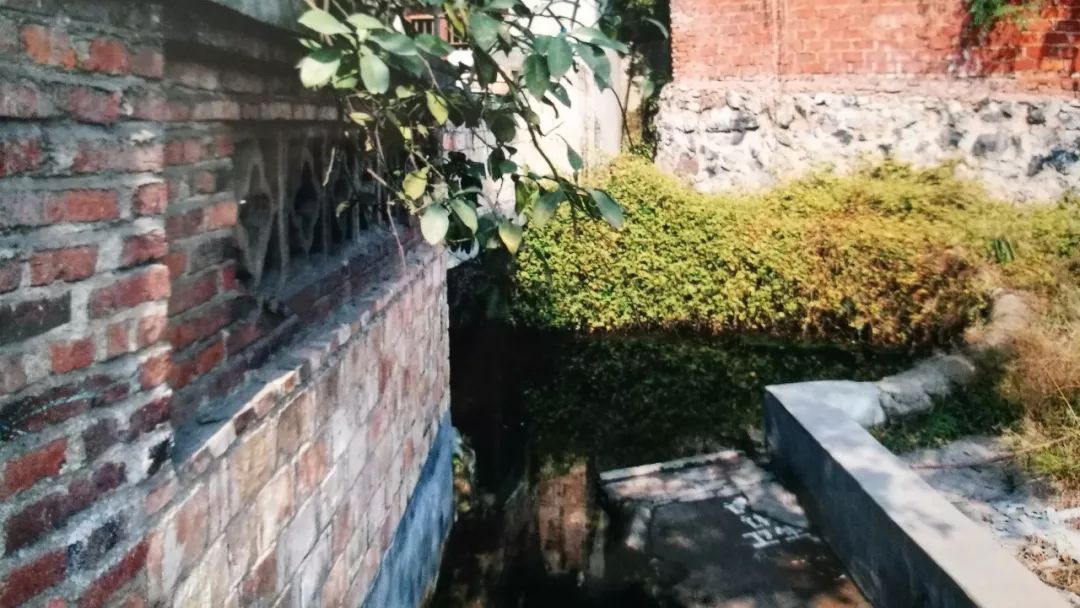 故乡让我很惶恐,故乡显得难以融入难以割舍