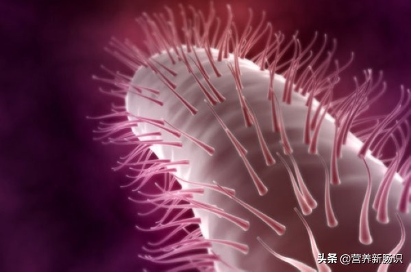 抗幽门螺杆菌能用一种抗生素吗,对付幽门螺旋杆菌的方法有哪些