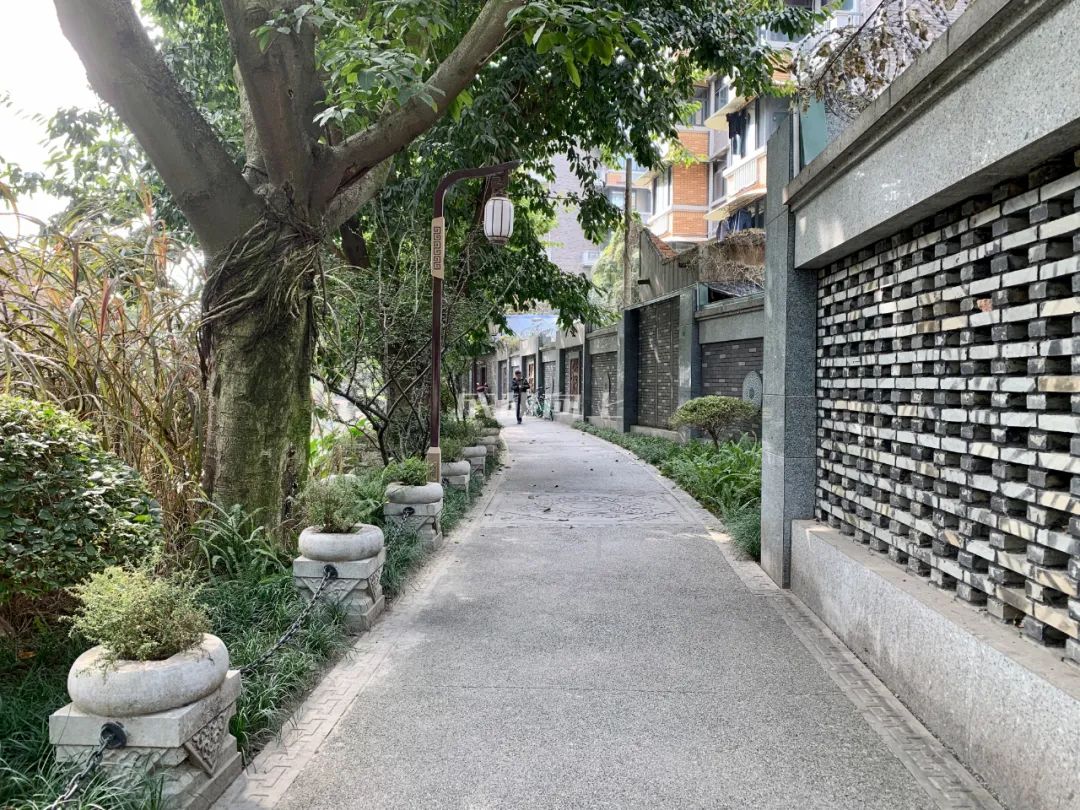 成都绿道风景美如画,成都周边哪条河边绿道最美