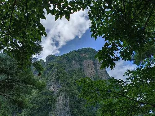 采一片天竺山的云朵别在发梢，带你感受云中漫步的奇妙幻境