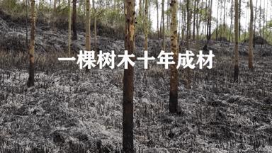 广安市广安区火灾最新事件,广安发生火灾