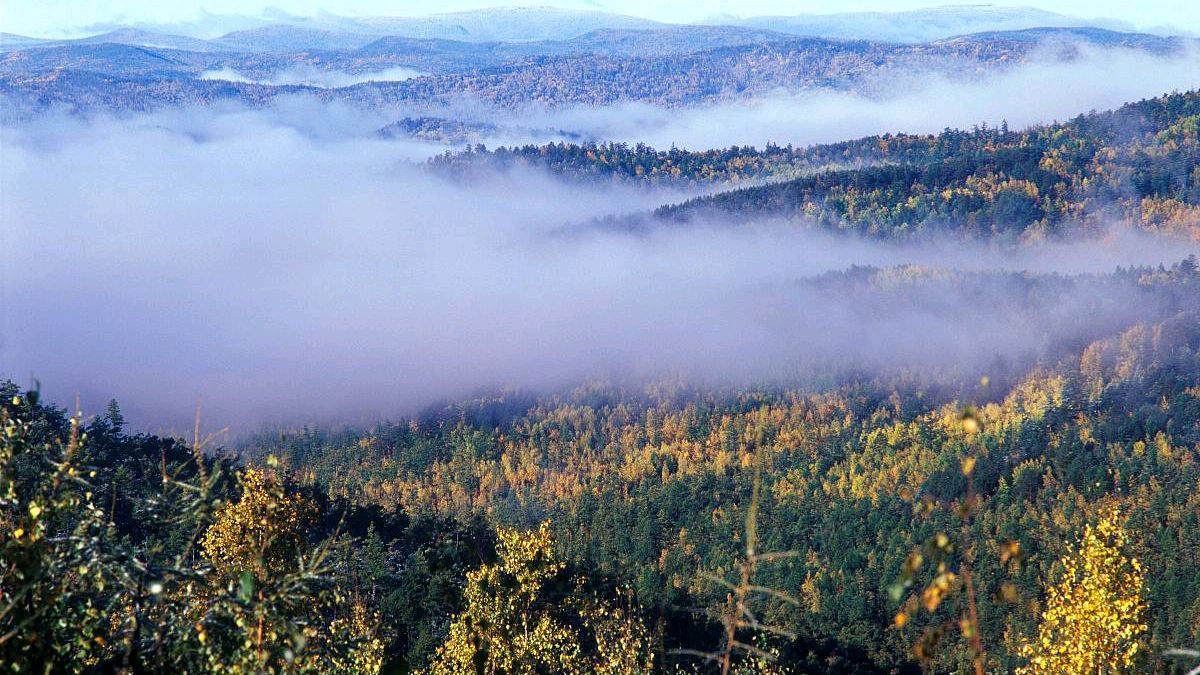 杨万里两首蕴含人生哲理的小诗，清新自然，极富趣味，值得一读
