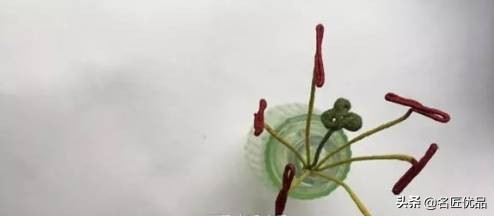 母亲节礼物九块钱的花,母亲节礼物该送什么花好