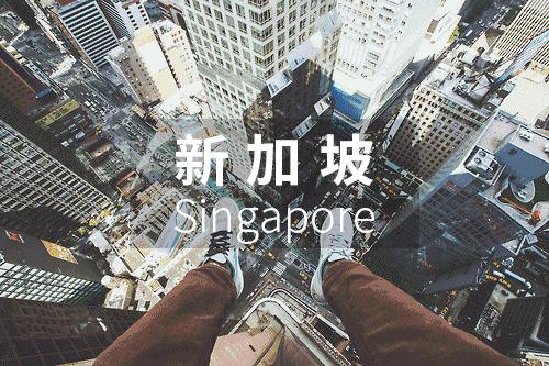 优质的海外市场综合分析——新加坡