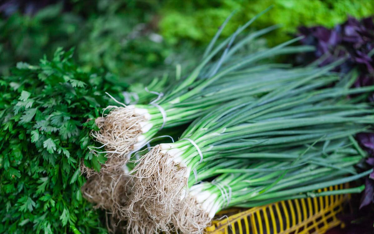 一亩地平均一年能赚多少钱,农业一亩地能赚多少