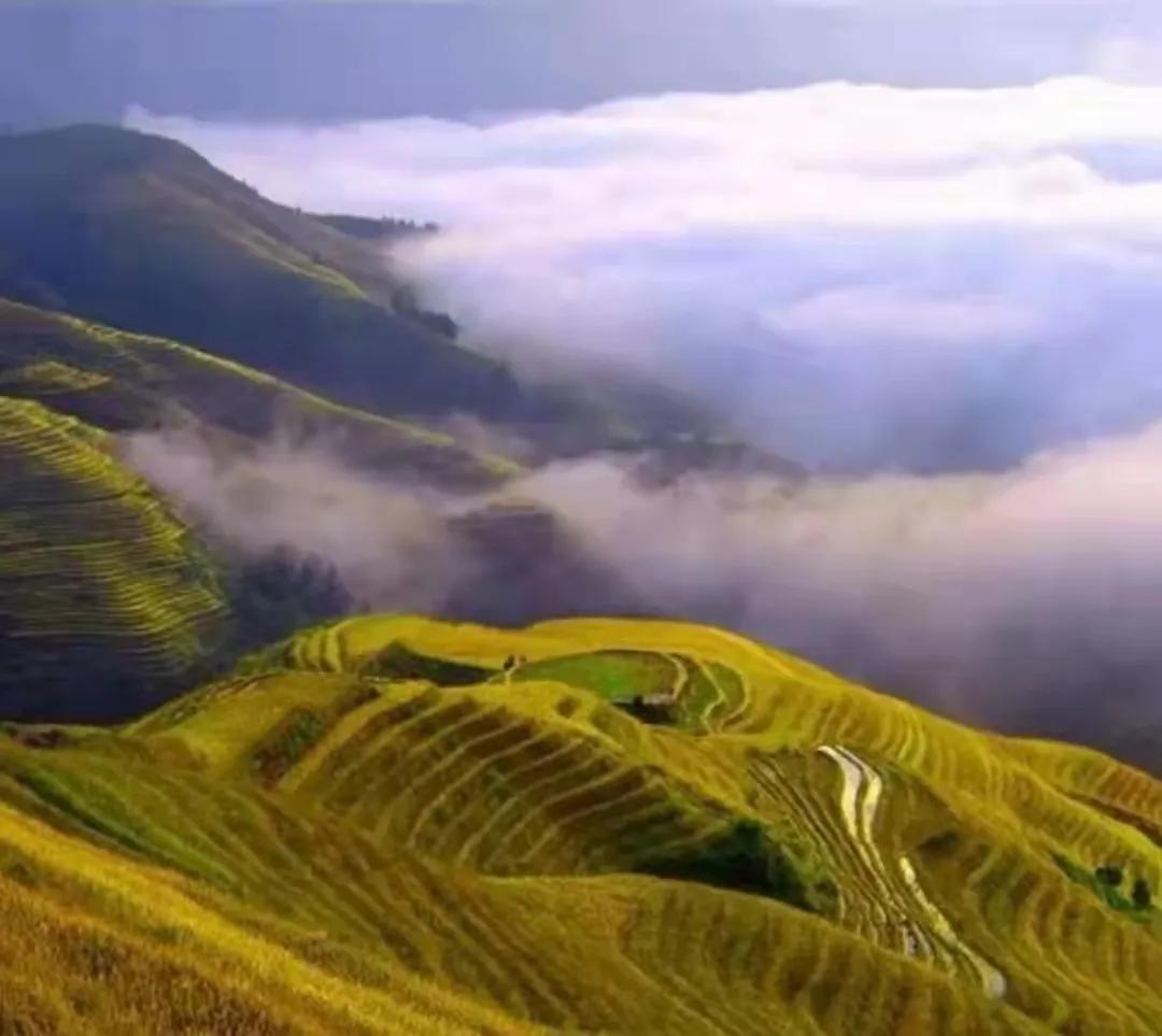 易经中的损卦是什么,易经中损卦的人生感悟