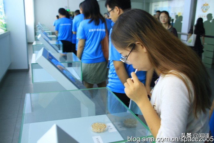 “走绿美邢襄看古城新变”百家自媒体走邢襄之三华兴宠物食品