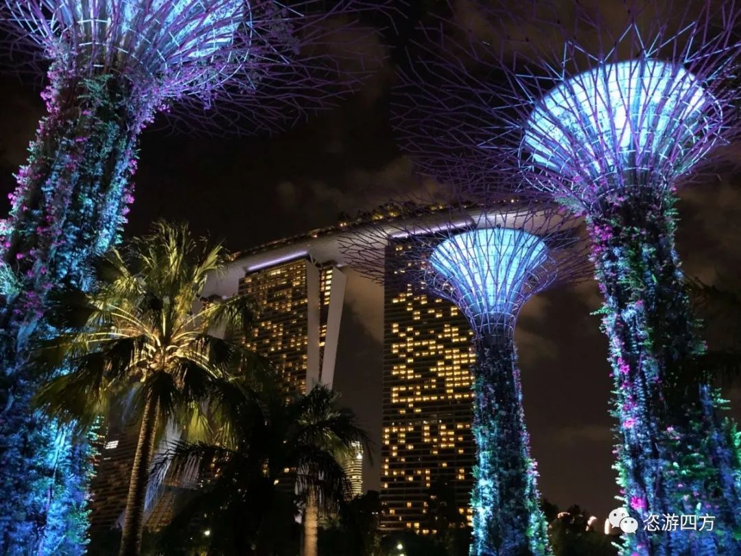 春节去新加坡亲子游记,新加坡亲子游3天2晚自由行含机票