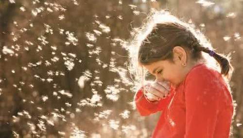 春暖花开鼻子痒不如试试这4招,一到换季鼻子里痒痒怎么治疗