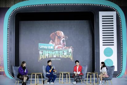 偶像与实力并存王嘉尔,偶像与实力