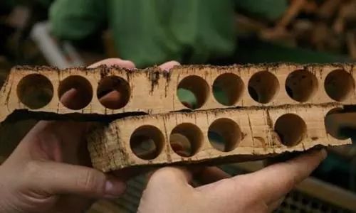 软木塞和螺旋盖,螺旋盖和软木塞的区别