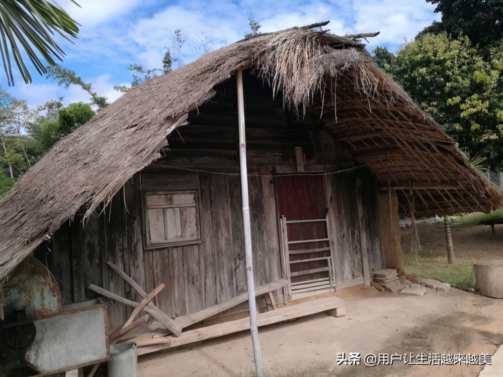 海南省黎族殡葬习俗,海南黎族的生活习俗