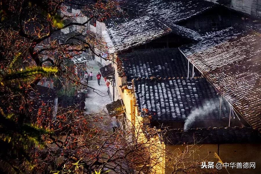 留几枚柿子在树上吧，让感恩变成一种习惯