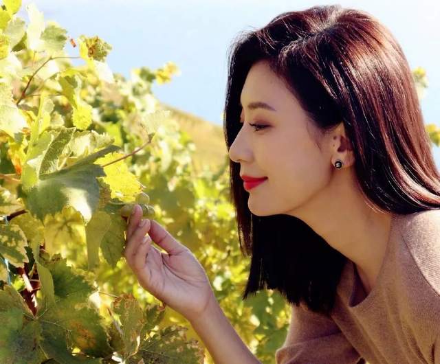 刘德华评价贾静雯视频,刘德华评价贾静雯康熙来了