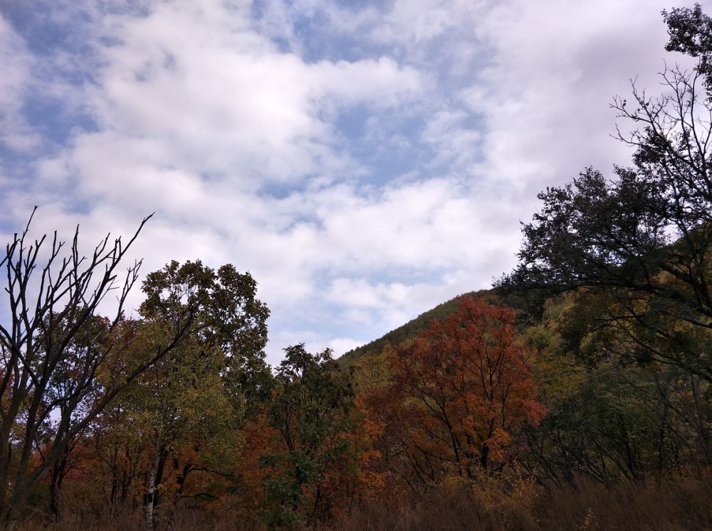 北京喇叭沟原始森林公园未解之谜,喇叭沟门原始森林最佳观赏区