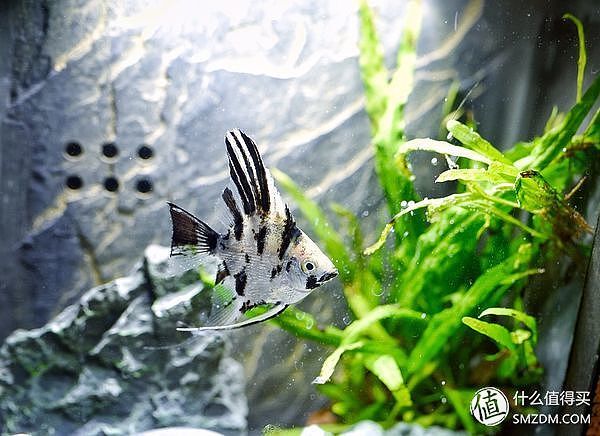 男性实用礼物,男性实用礼物推荐