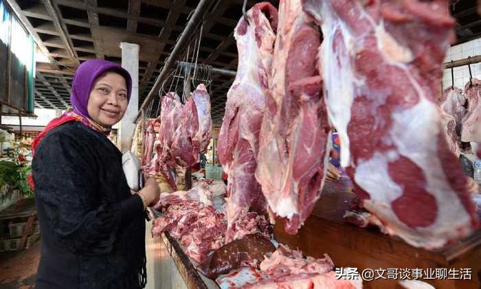 三农无本钱养鸡加盟合作,农村养鸡创业代养