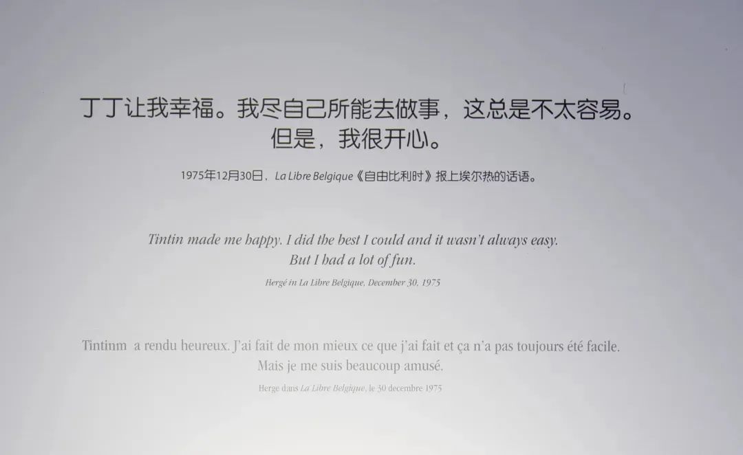 丁丁历险记电影在线观看,丁丁历险记动画国语全集