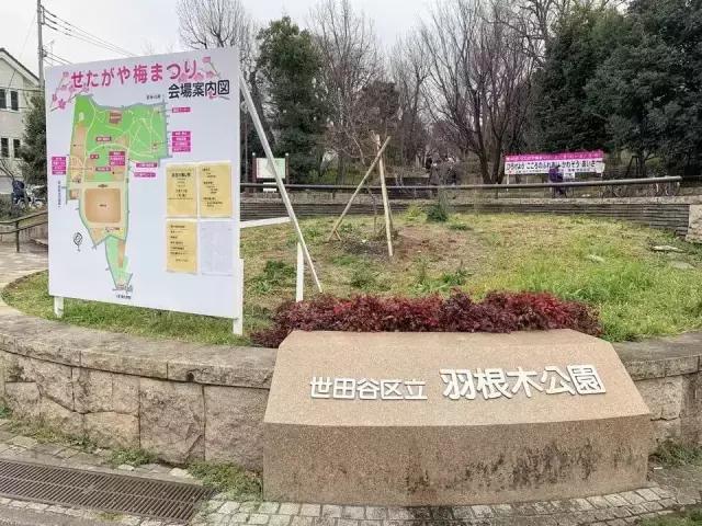 日本有个公园相当“危险”，家长却抢着把孩子送去玩