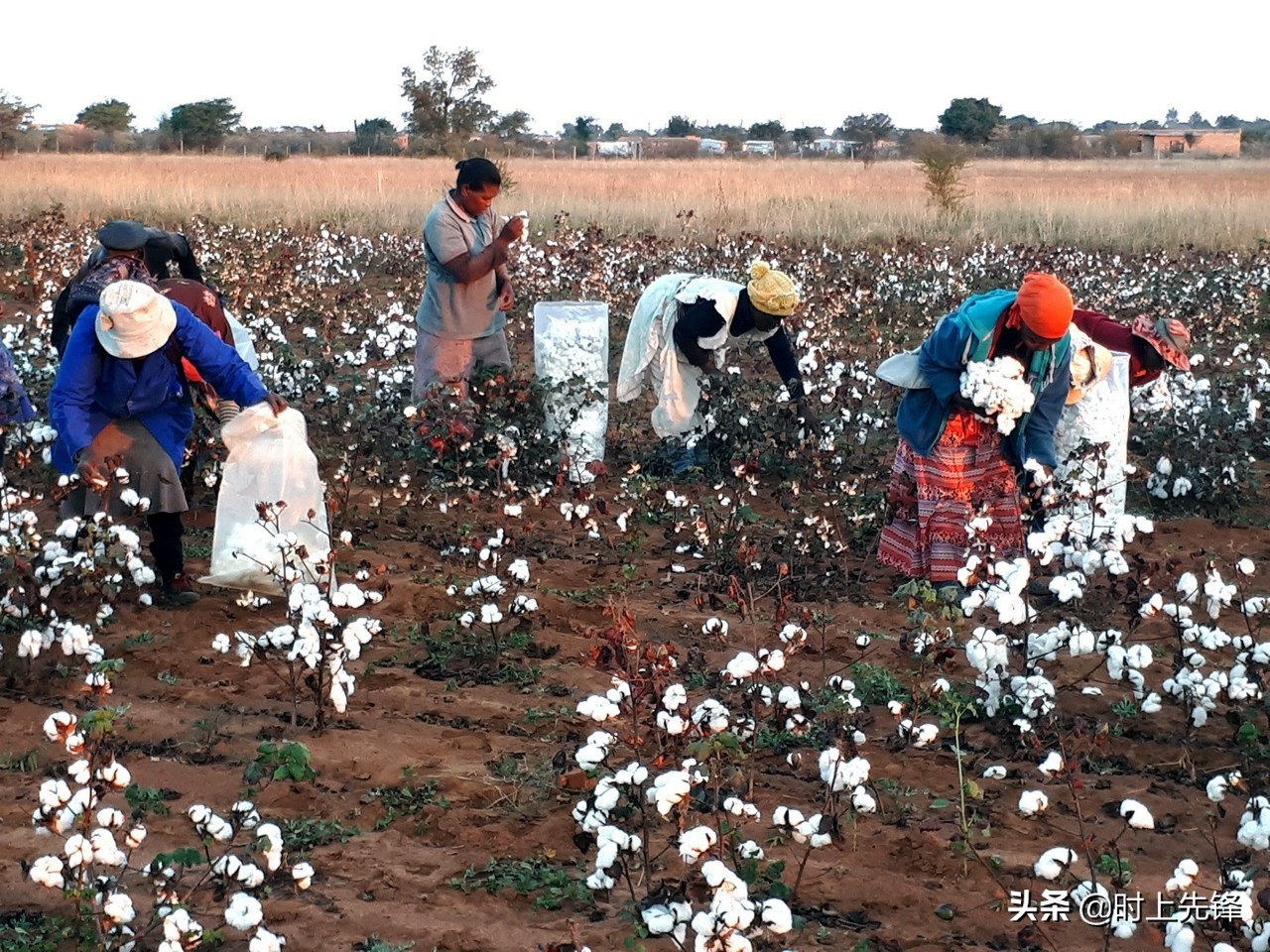 行业*局骗**？快时尚宣布2025年100%使用永续面料，学者：没这种东西