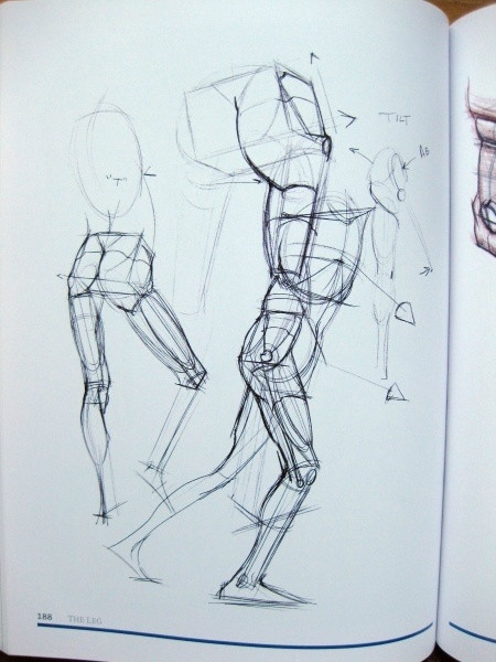 透视表现空间的基本方法,透视解剖学原理书籍