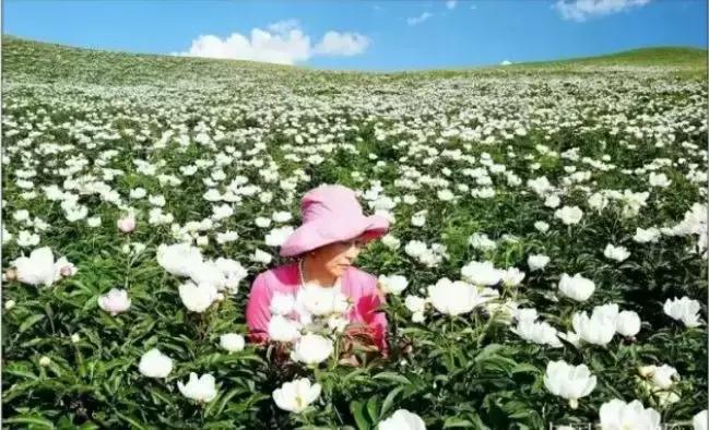 通辽好玩的景点排行榜,通辽霍林河景色