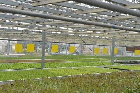 农业趋势未来农业的出路在哪里,农业如何做才能有出路