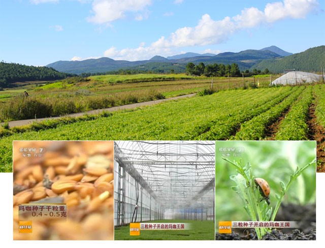 宁夏农科院赵兵,中科院赵兵教授