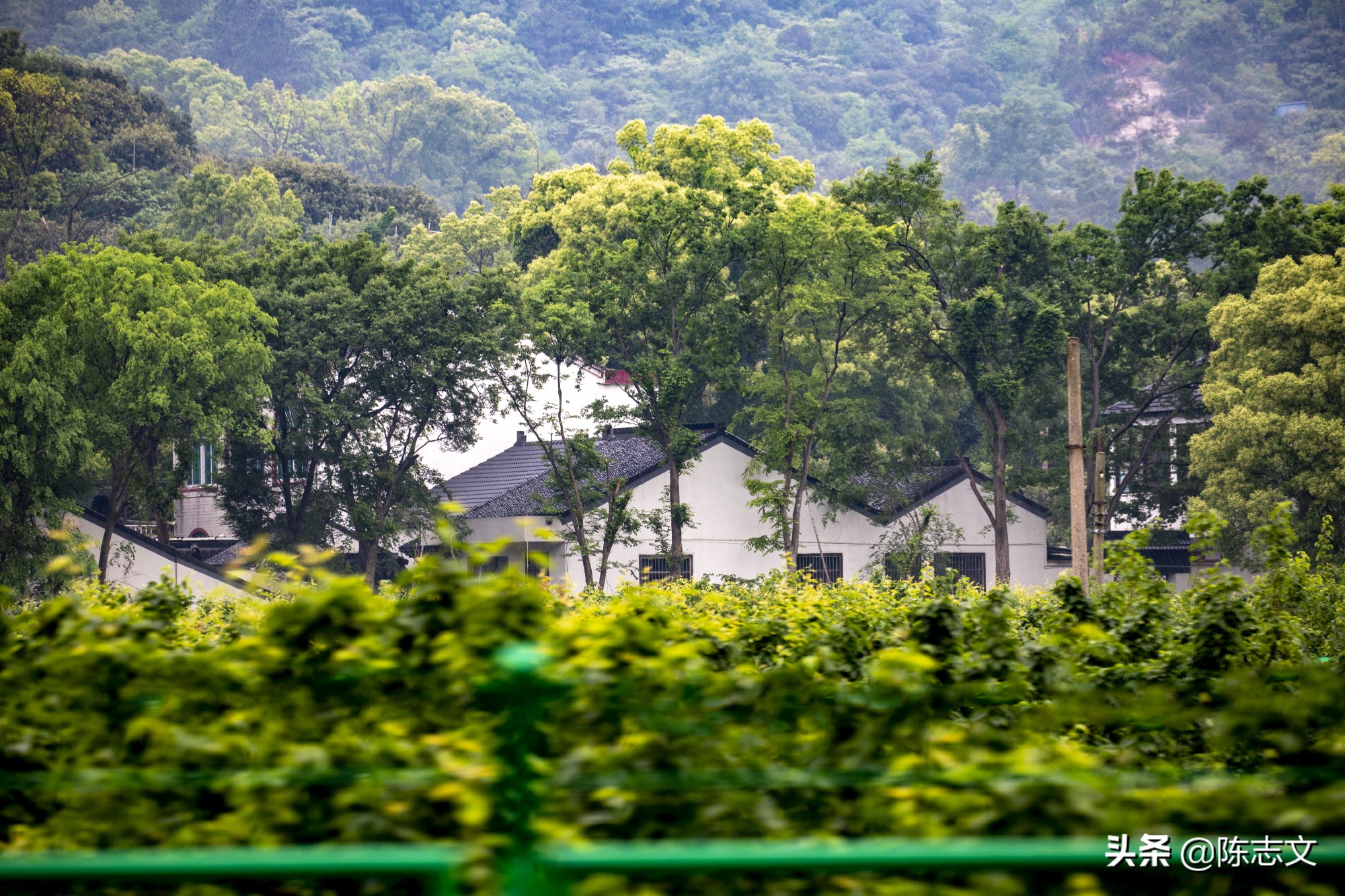 苏州有一座单独的山,苏州有座佛的山