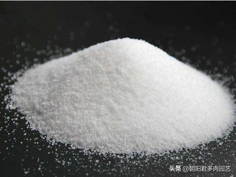 养铜钱草水里边有虫子放点什么,养铜钱草的水里有青苔