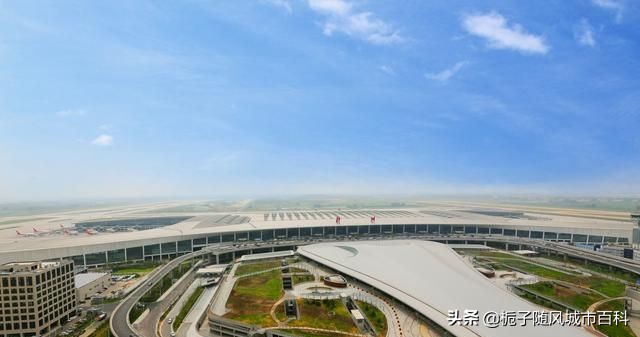 河南省最大国际机场,郑州新郑机场有哪些航空基地