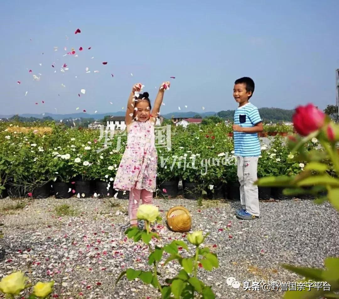 暑假孩子们怎么过,妈妈暑假每日计划