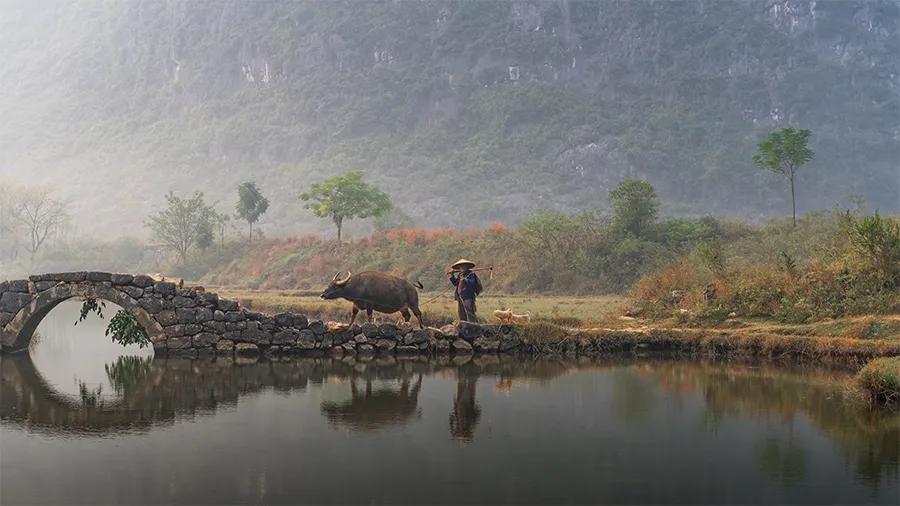 彩铅线描相结合儿童画,儿童画教程大全简单画动物