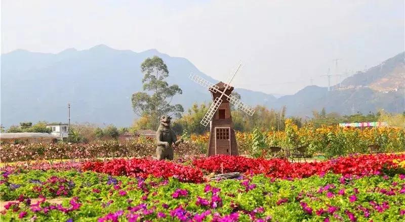 清远七天玩乐,清远一日游最佳景点一览表最新