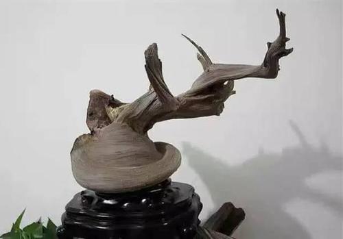 文玩手串贬值,文玩升值骗局有哪些套路