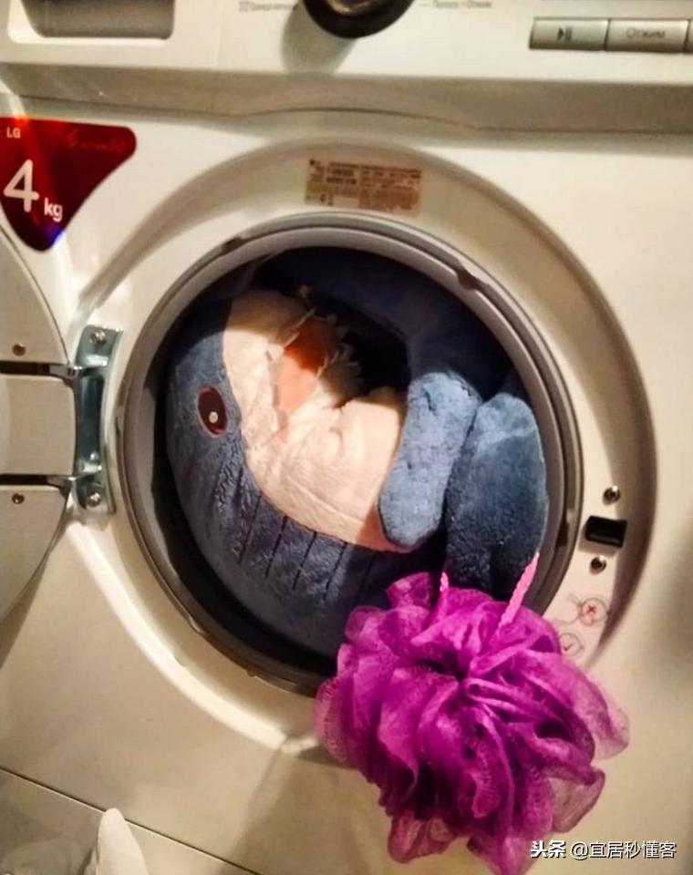 宜家小鲨鱼,为什么宜家鲨鱼火了