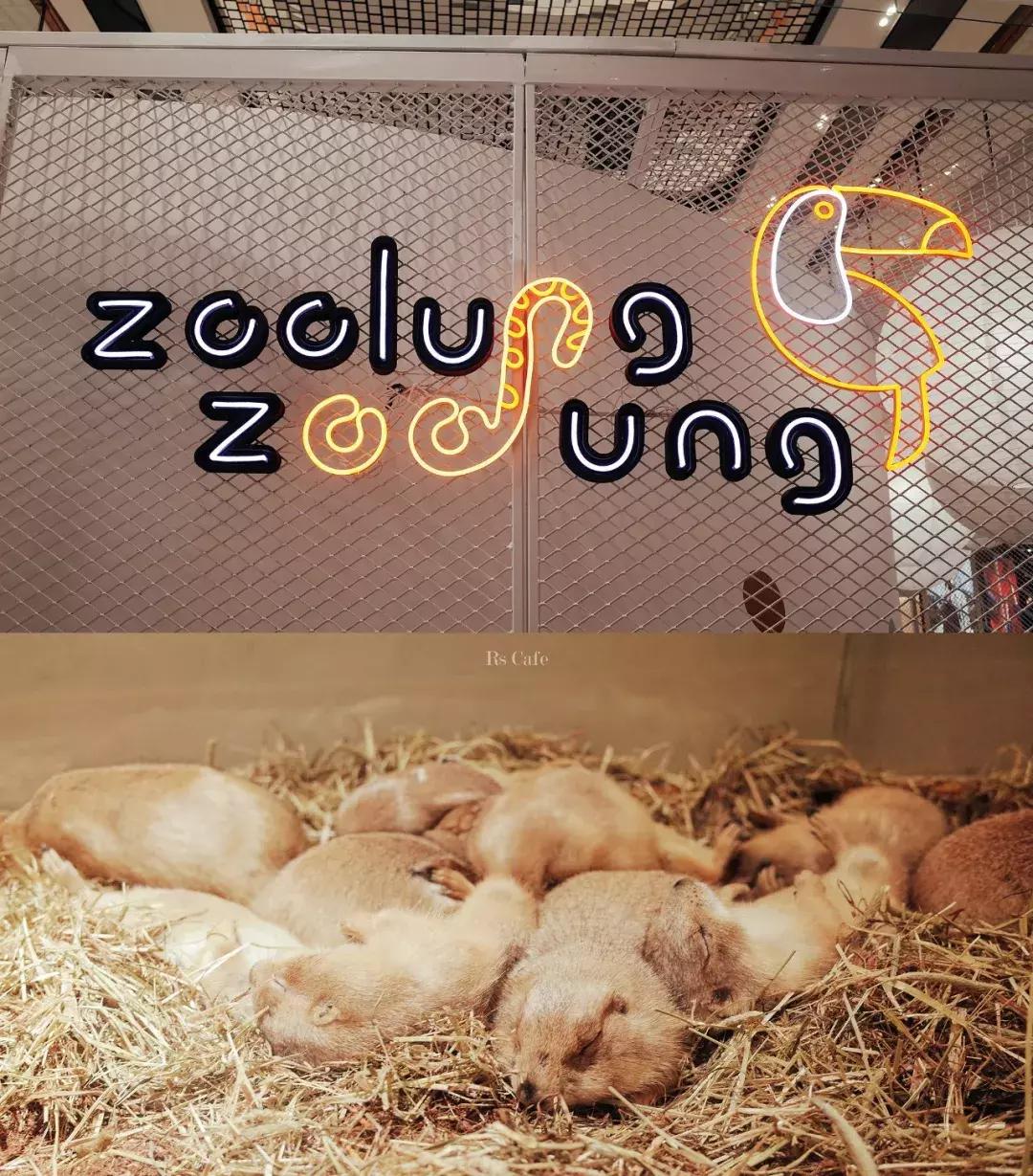 商场吃的推荐,商场吃什么饭最好