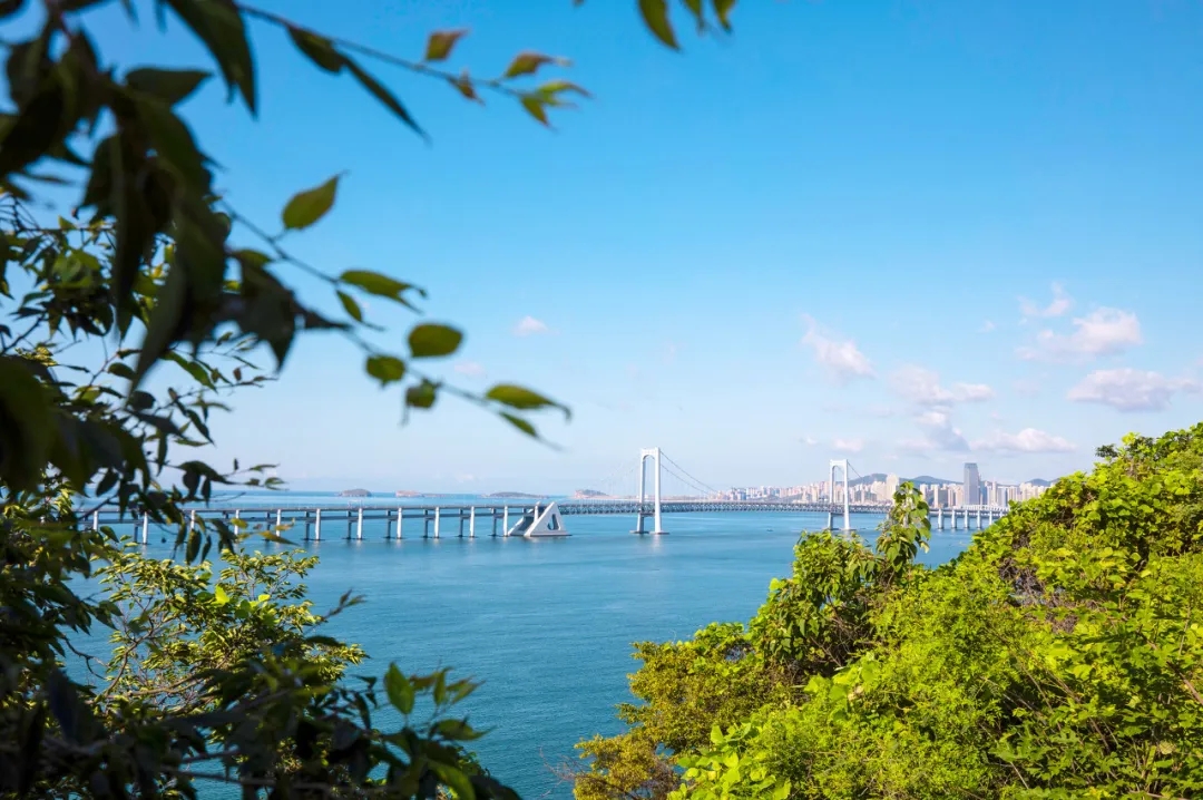 均温20℃的海滨老城，紫色泡桐花美得像国外，现在去性价比超高