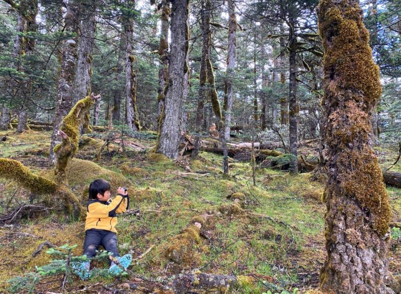 他叫辛巴,不是狮子王,8岁穿越12国:最好的教育,永远在路上