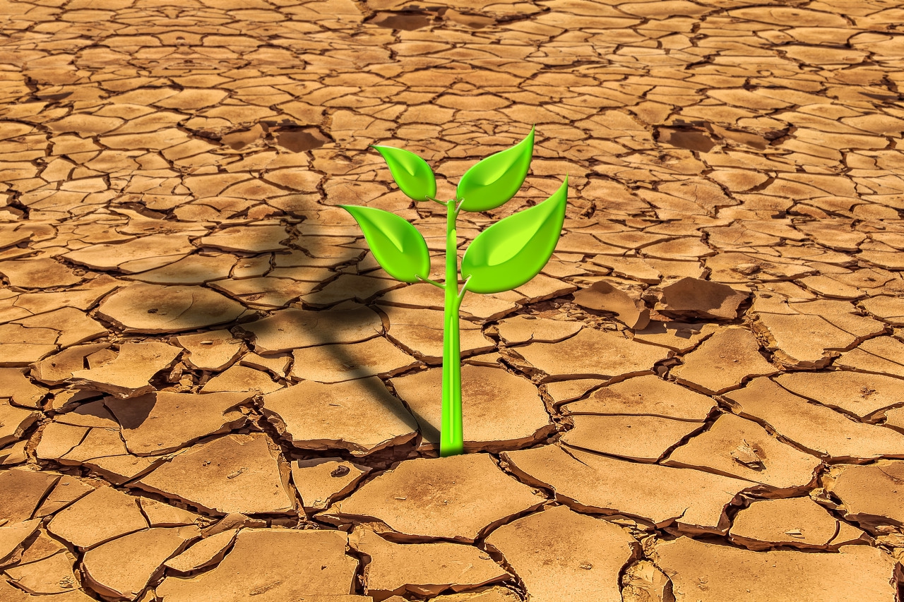 吃什么药预防水土不服症状,治疗水土不服的药物有哪些