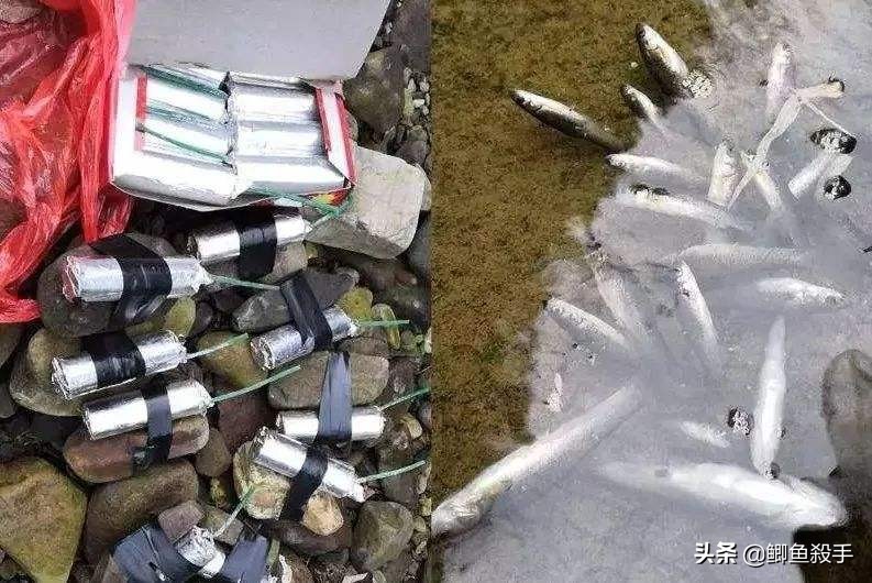 禁渔令禁用渔具,禁渔令渔具使用规定