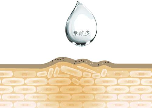 烟酰胺和什么一起用会长毛,烟酰胺原液会导致长毛吗