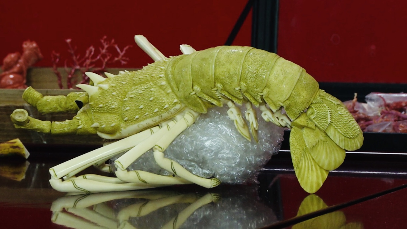 奇葩动物变形玩具,另类奇怪玩具