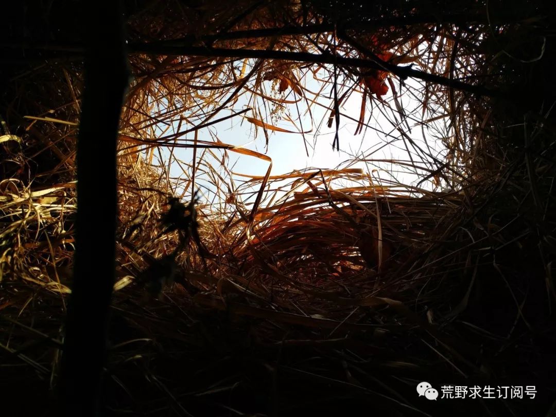 野外生存中木炭的作用和功效,木炭的用途及其对应的性质