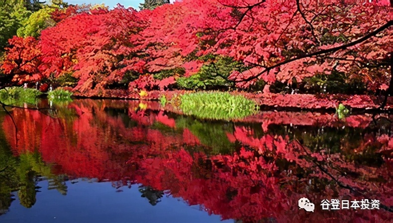 「谷登知识星球」浴衣、烟火,在祭奠中拥抱夏日吧