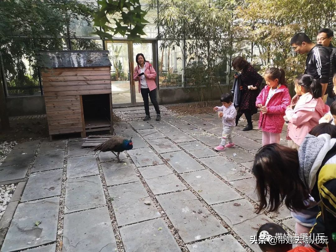 住别墅、滚草坪、躺在床上看电影，密云轻奢营地的花样玩法